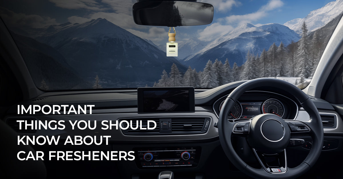 Important Things You Should Know About Car Fresheners